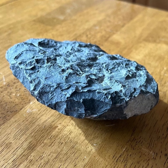 Trilobite fossil - Picture 10 of 14